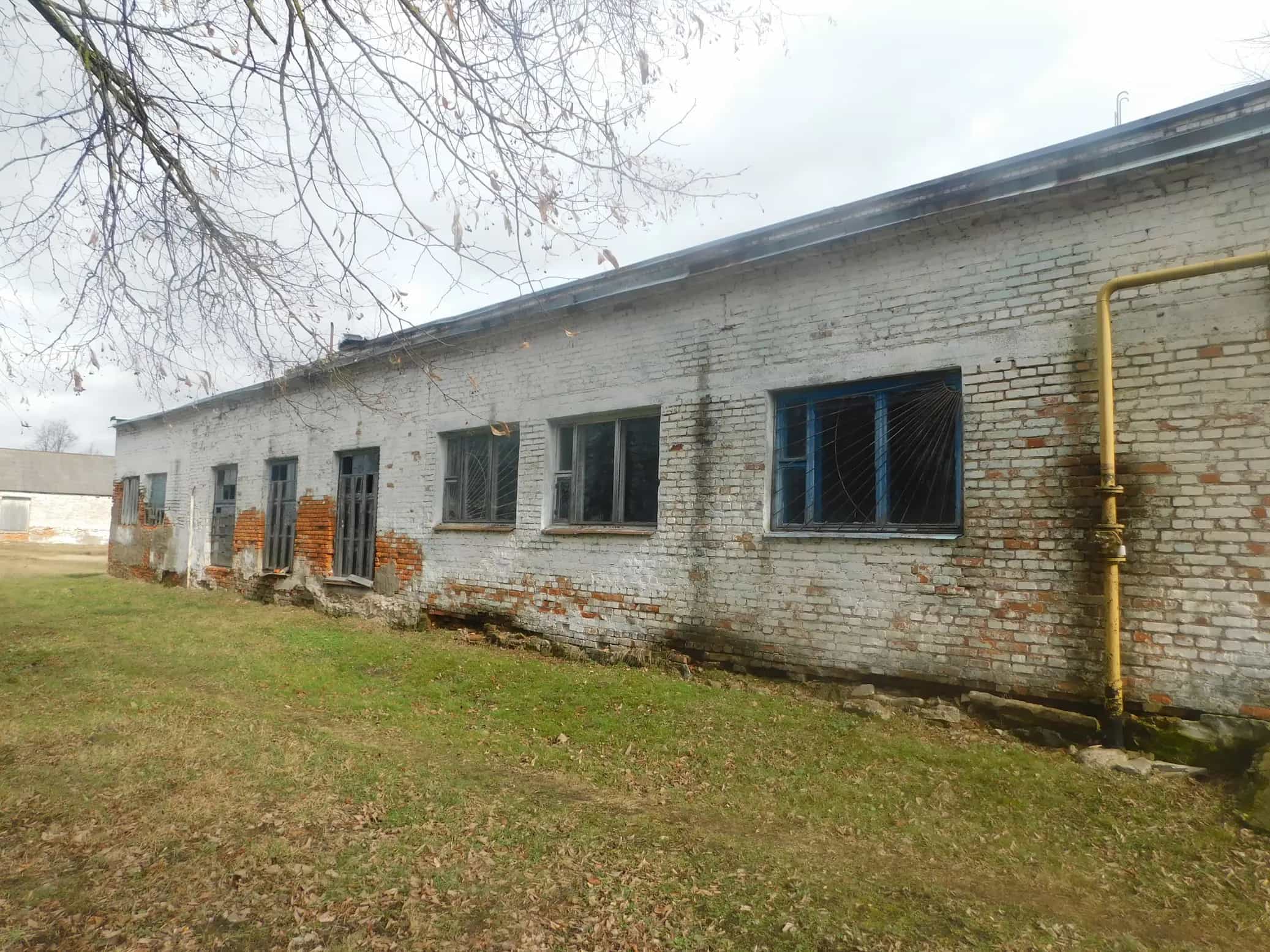 Беларусь, Гомельская область, Жлобинский район, агрогородок Красный Берег, Школьная улица, 5, фото 20