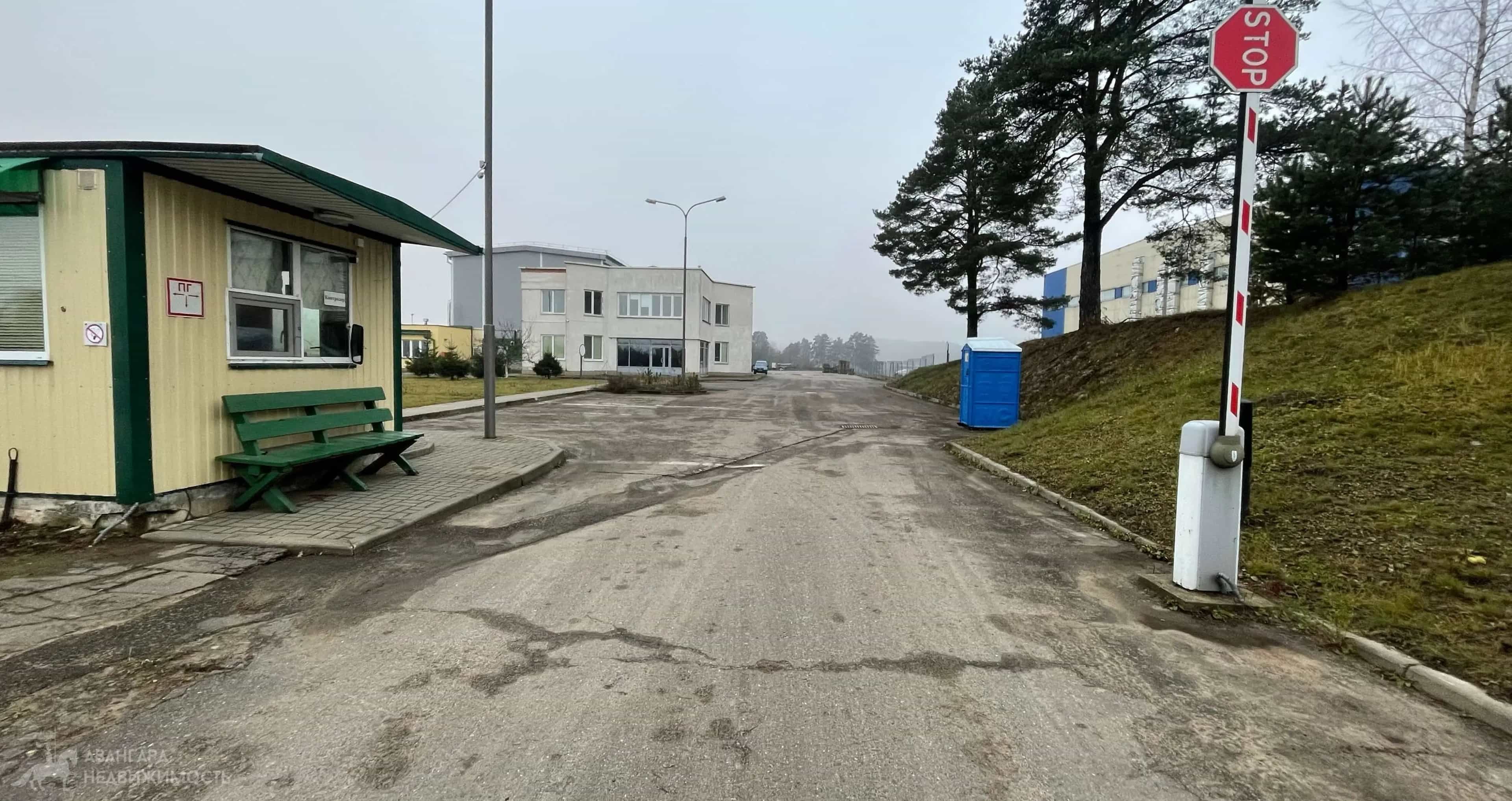 Беларусь, Минский район, Боровлянский сельсовет, деревня Королёв Стан, Лесная улица, 6, фото 8