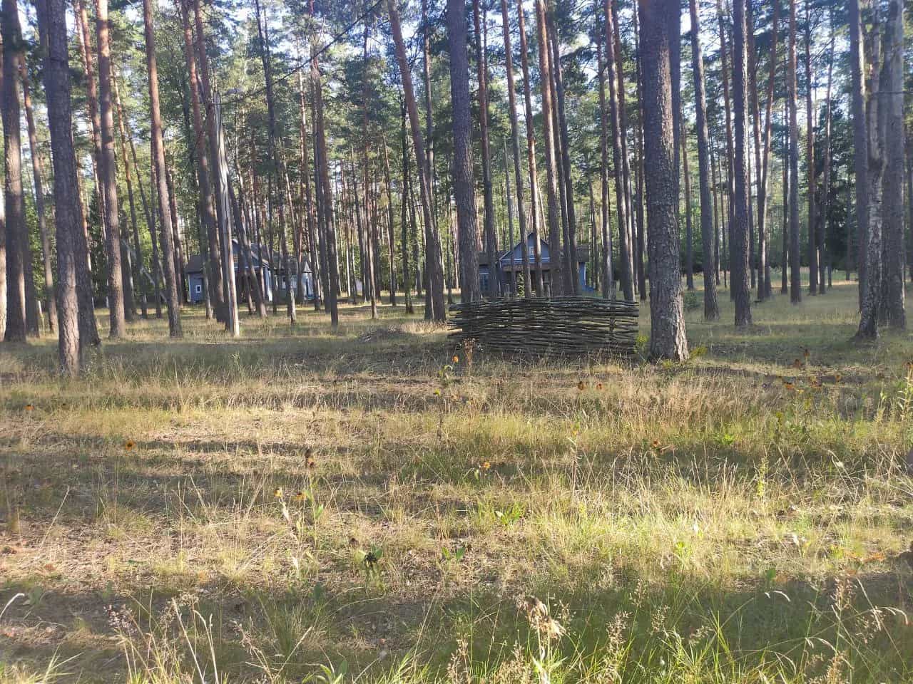 Беларусь, Могилёвская область, Бобруйский район, Сычковский сельсовет, деревня Мирадино, Пионерская улица, 11, фото 12