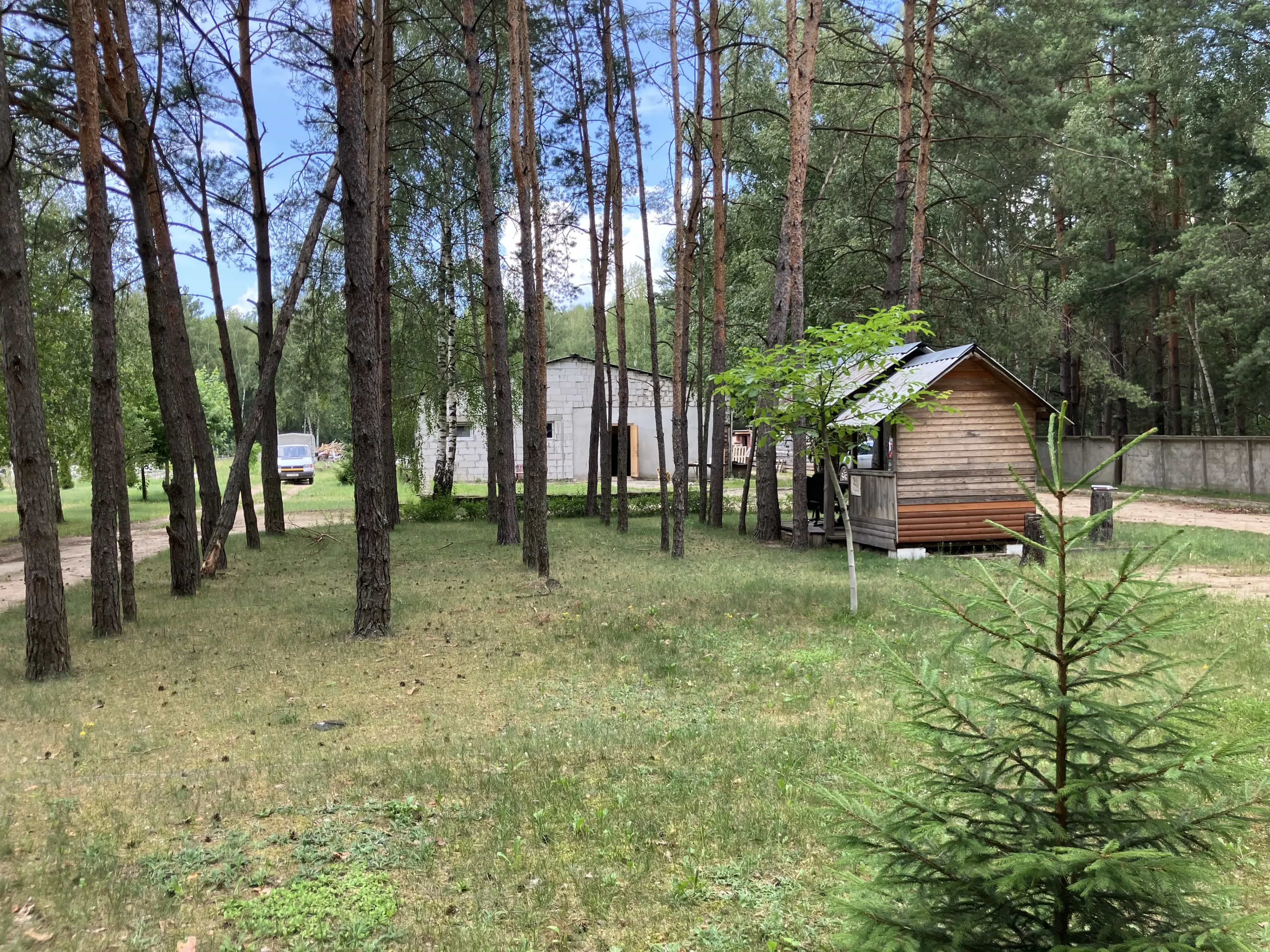 Беларусь, Брестский район, Мухавецкий сельсовет, 17, фото 8