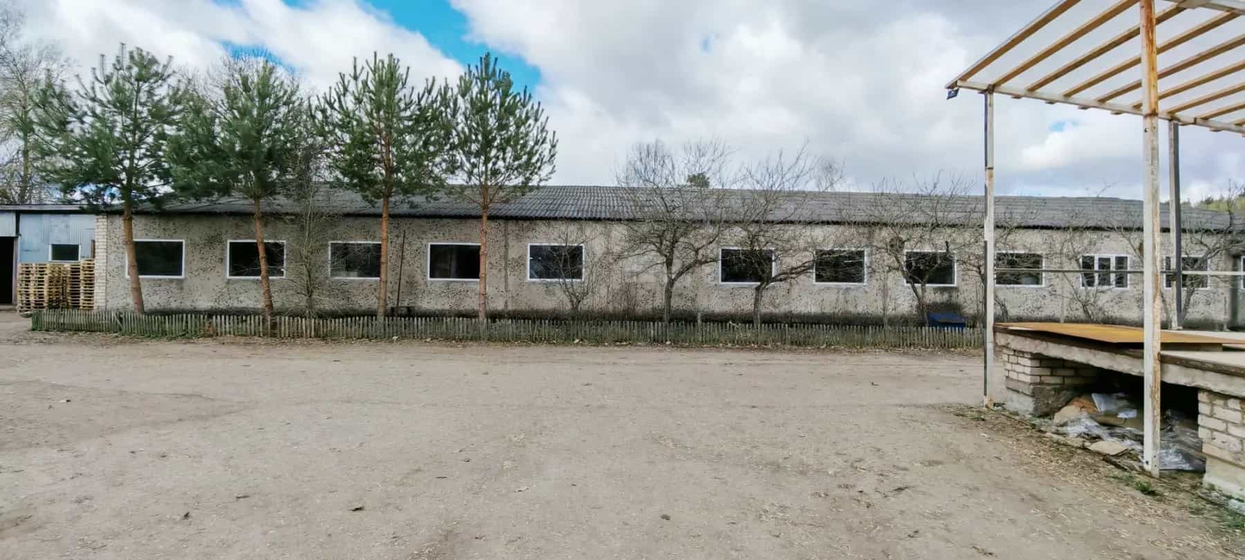 Беларусь, Витебская область, городской посёлок Бешенковичи, улица Заслонова, 20Вк1, фото 6