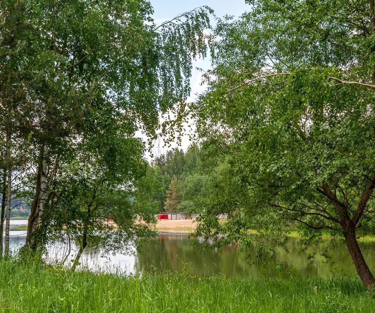 Беларусь, Минский район, Острошицко-Городокский сельсовет, деревня Раубичи, 70, фото 8