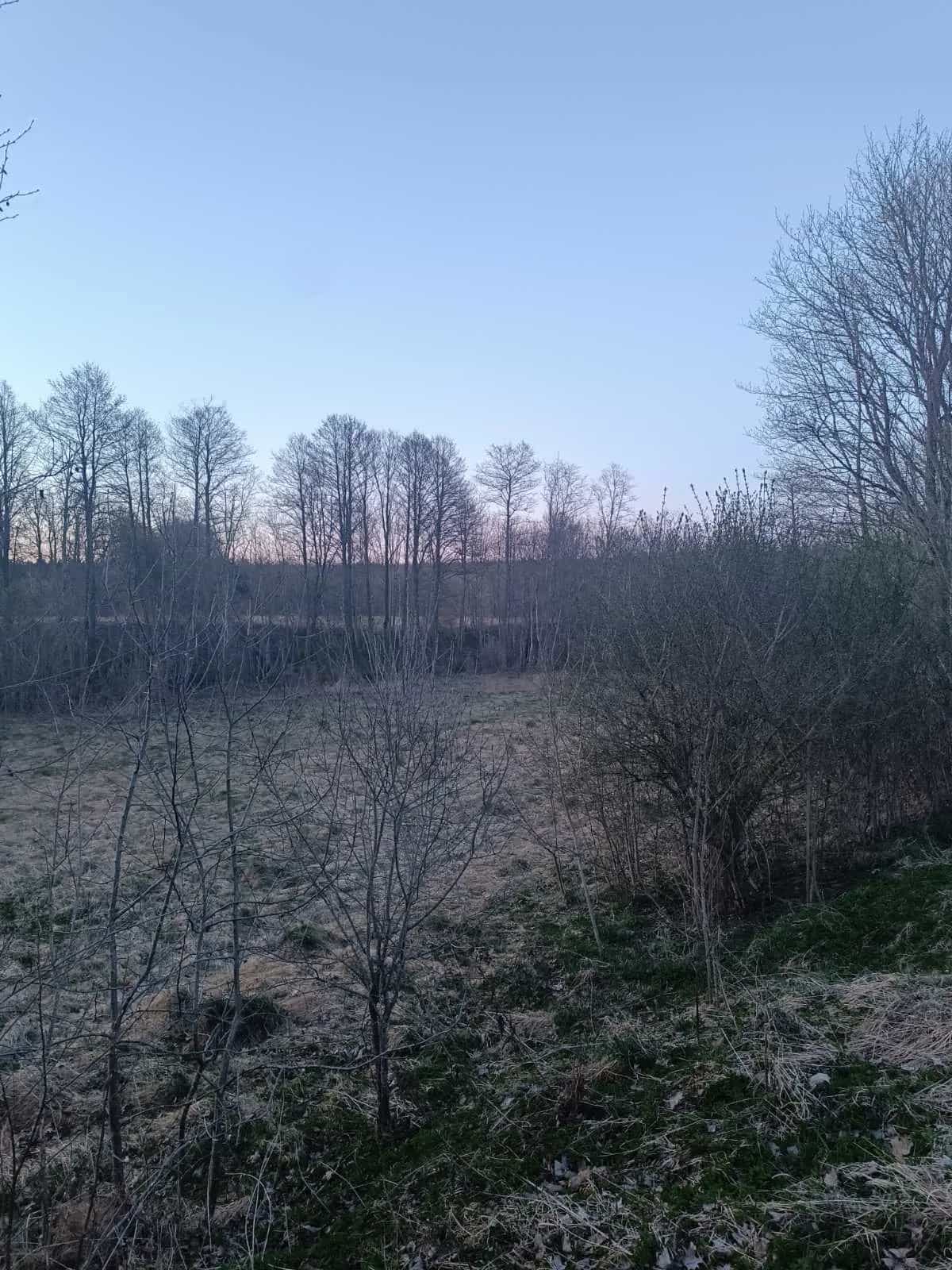 Беларусь, Гродненская область, Островецкий район, Ворнянский сельсовет, деревня Быстрица, Школьная улица, 3, фото 5
