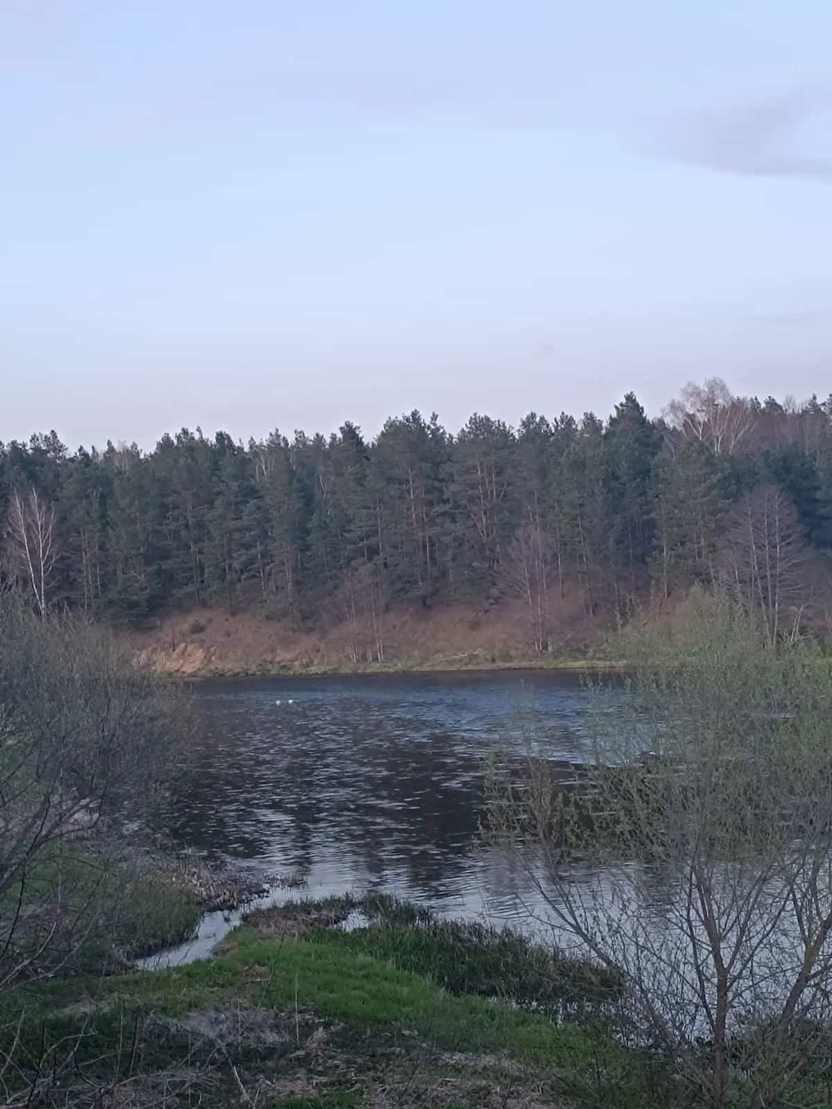 Беларусь, Гродненская область, Островецкий район, Ворнянский сельсовет, деревня Быстрица, Школьная улица, 3, фото 7