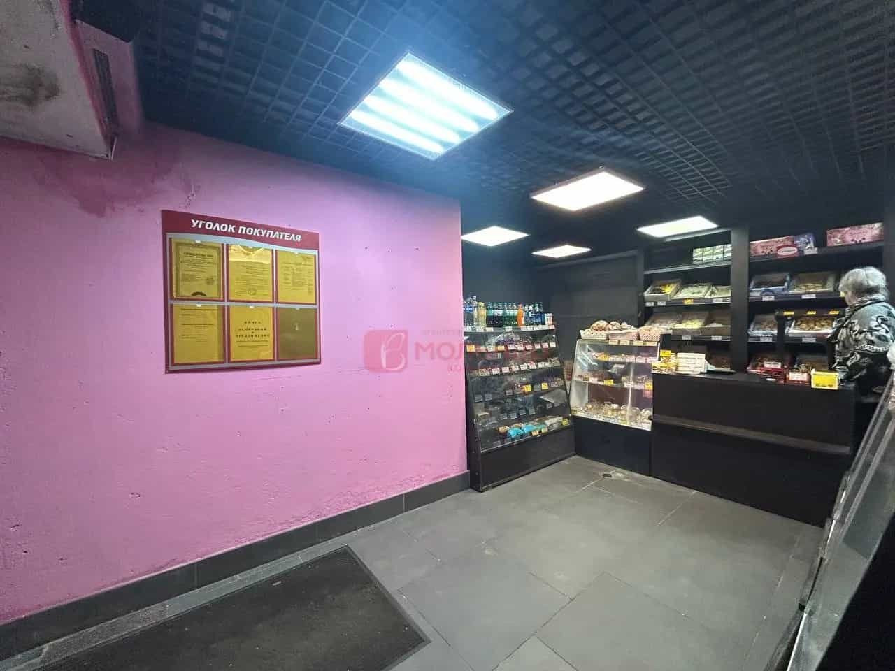 Беларусь, Минск, 1-й Загородный переулок, 3А, фото 13