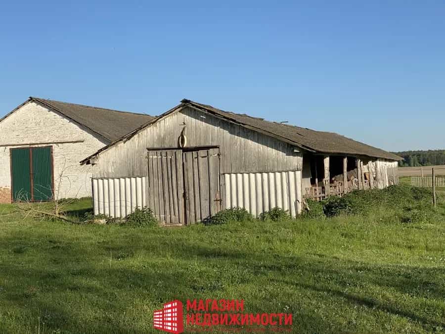 Беларусь, Брестская область, Кобринский район, Хидринский сельсовет, деревня Перки, Центральная улица, 10, фото 9