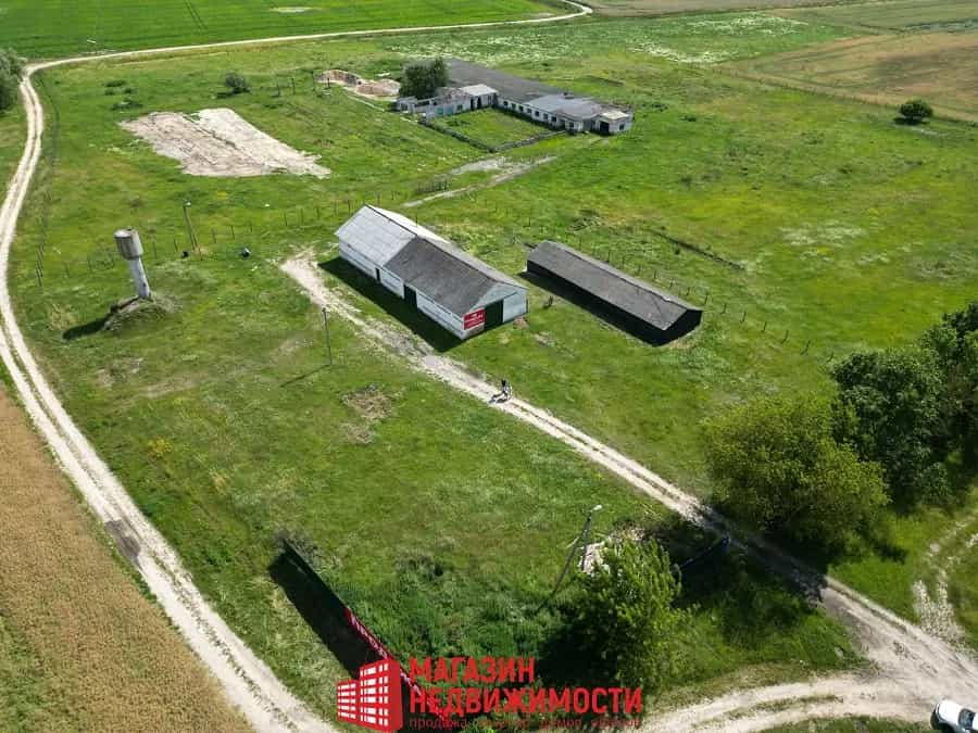 Беларусь, Брестская область, Кобринский район, Хидринский сельсовет, деревня Перки, Центральная улица, 10, фото 20