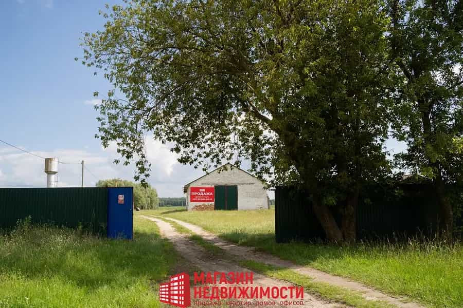 Беларусь, Брестская область, Кобринский район, Хидринский сельсовет, деревня Перки, Центральная улица, 10, фото 21