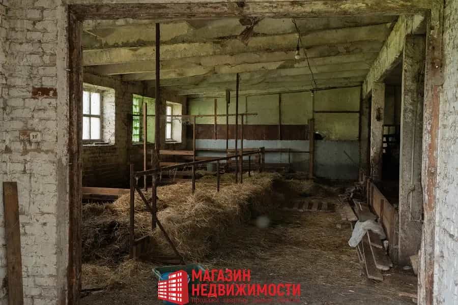 Беларусь, Брестская область, Кобринский район, Хидринский сельсовет, деревня Перки, Центральная улица, 10, фото 24