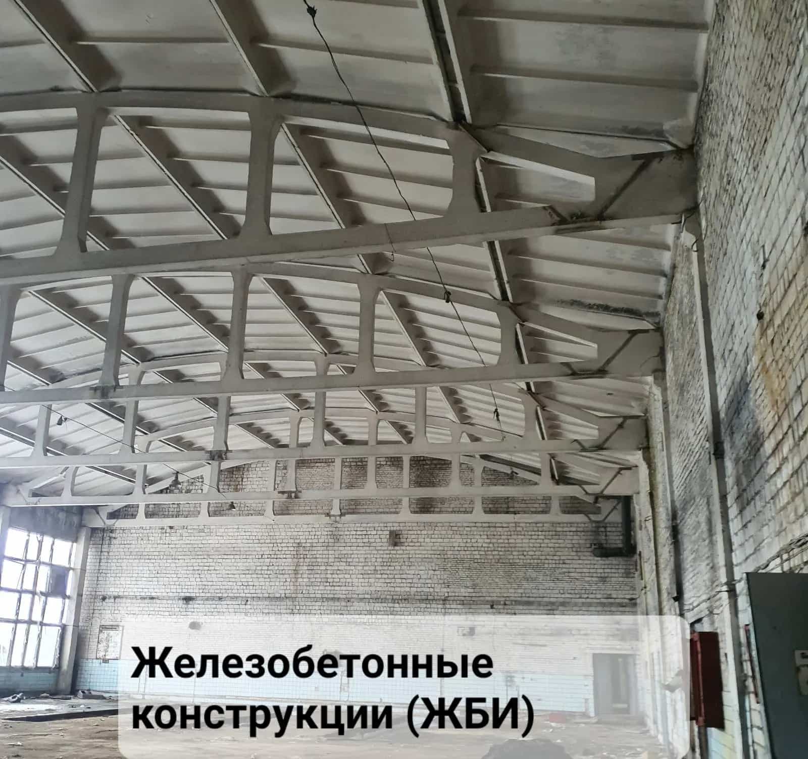 Беларусь, Гомельская область, Добруш, Полевая улица, 4, фото 6