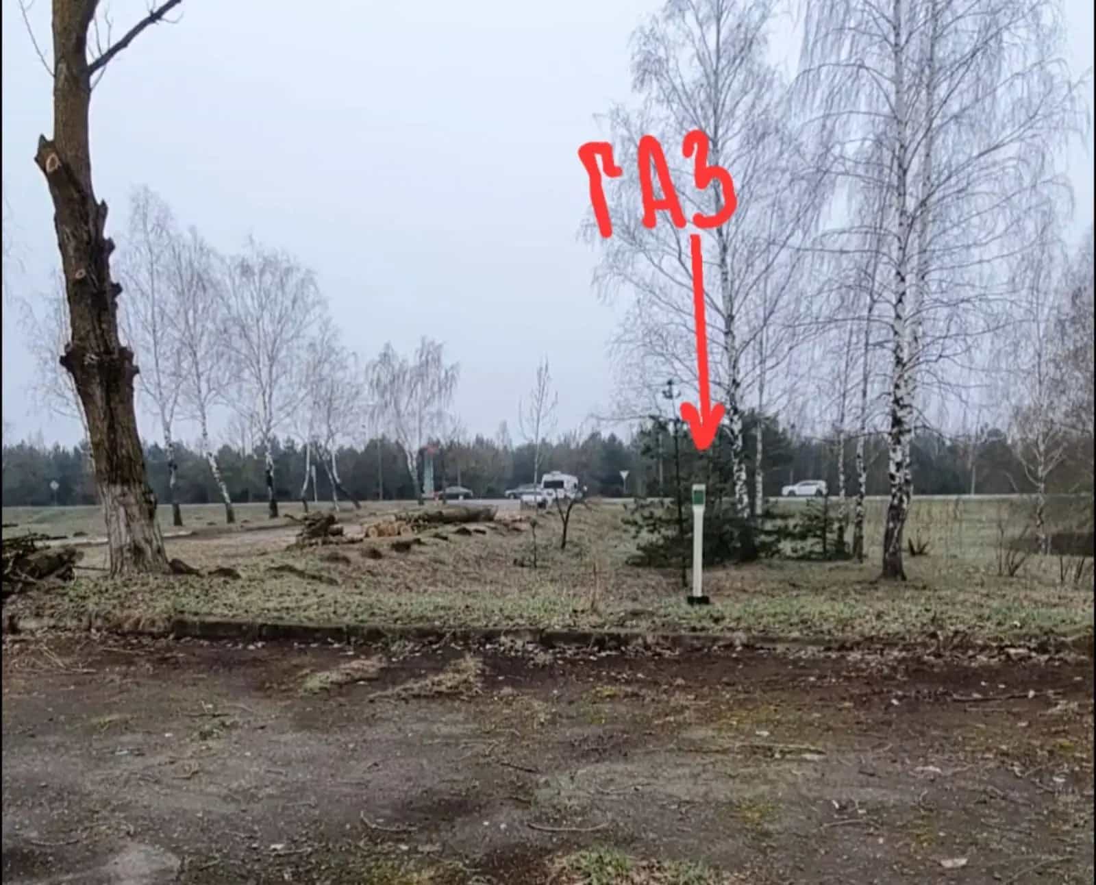 Беларусь, Гомельская область, Добруш, Полевая улица, 4, фото 15