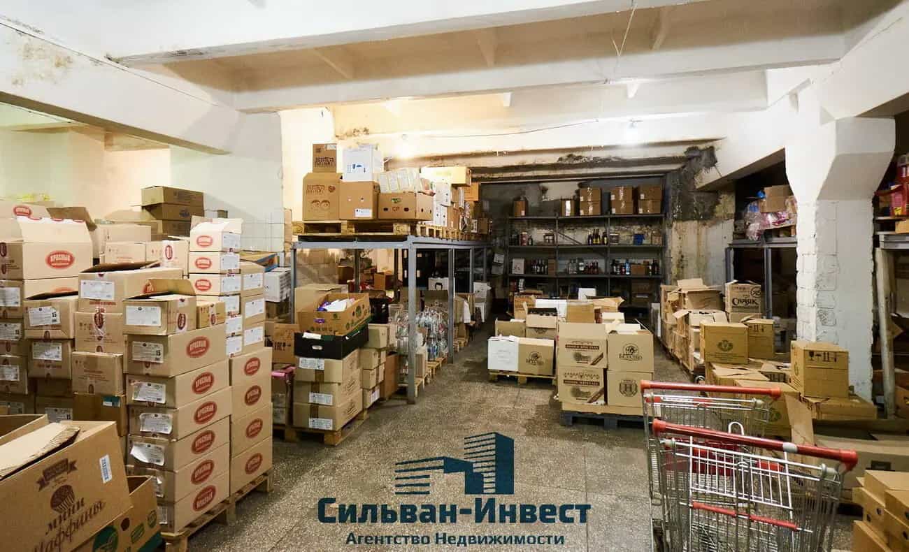 Беларусь, Минск, проспект Независимости, 23к1, фото 22