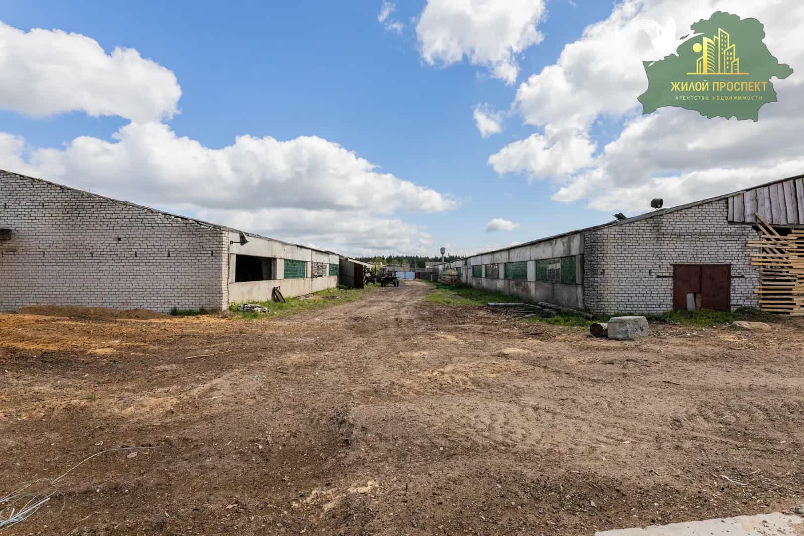 Беларусь, Гродненская область, Островец, улица Карла Маркса, 43блок3, фото 5