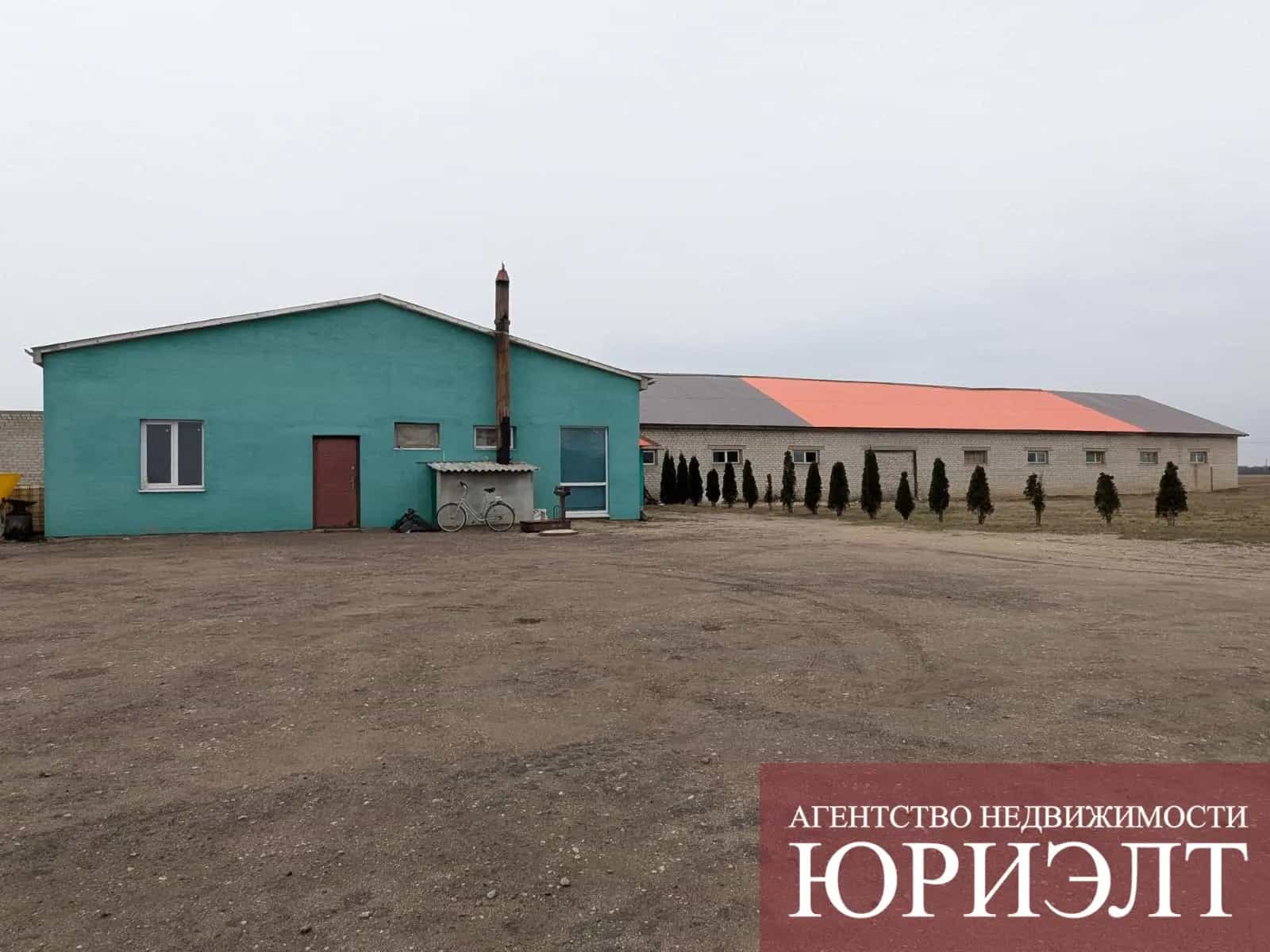 Беларусь, Брестская область, Каменецкий район, Высокое, улица Советских Пограничников, 3Б, фото 2