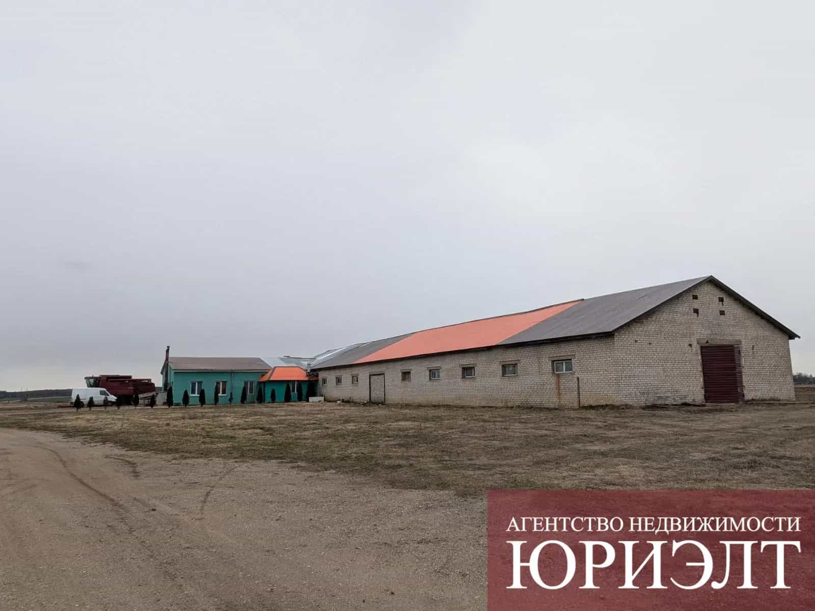 Беларусь, Брестская область, Каменецкий район, Высокое, улица Советских Пограничников, 3Б, фото 3