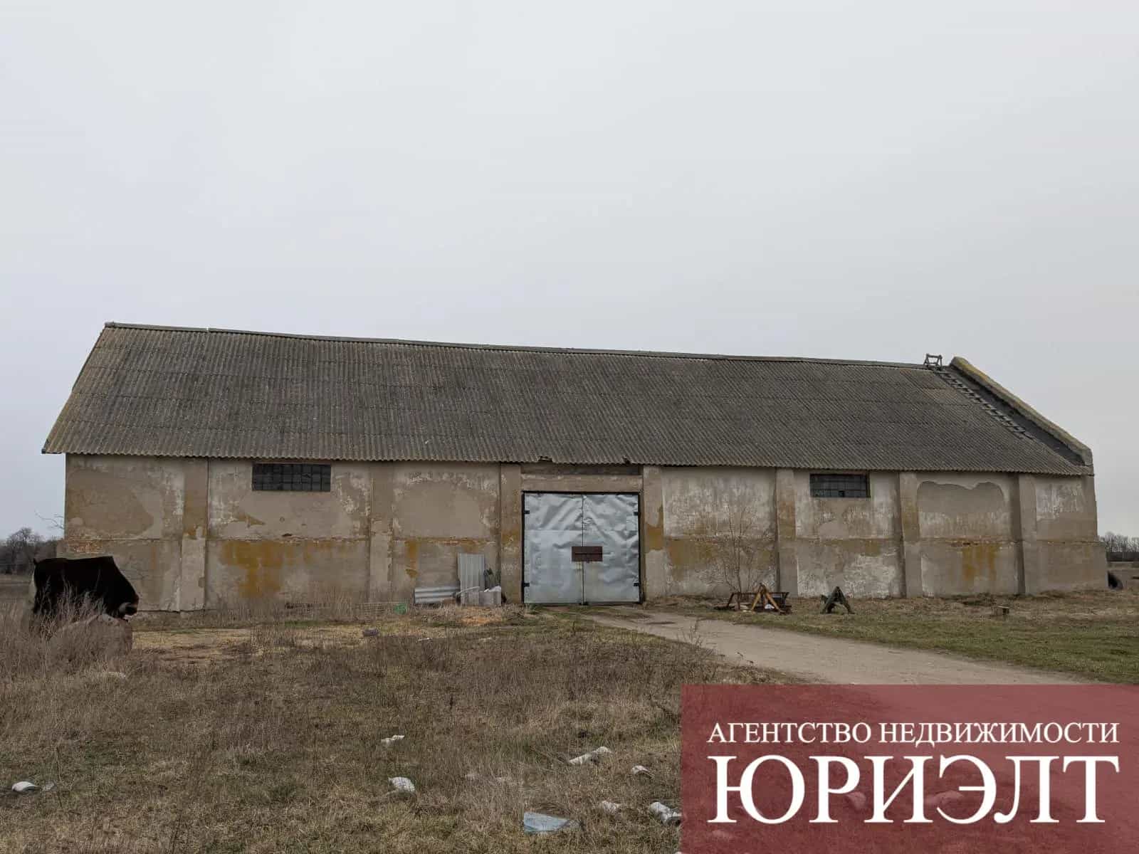 Беларусь, Брестская область, Каменецкий район, Высокое, улица Советских Пограничников, 3Б, фото 6