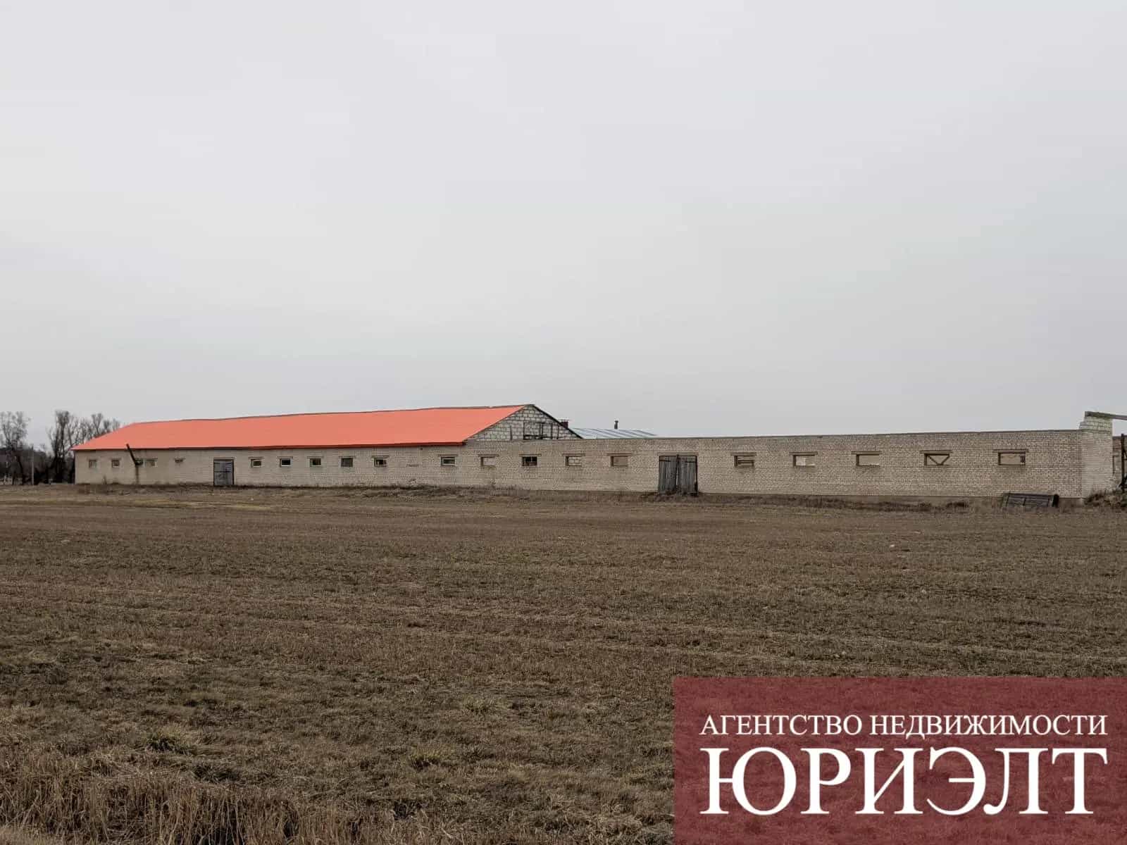 Беларусь, Брестская область, Каменецкий район, Высокое, улица Советских Пограничников, 3Б, фото 7