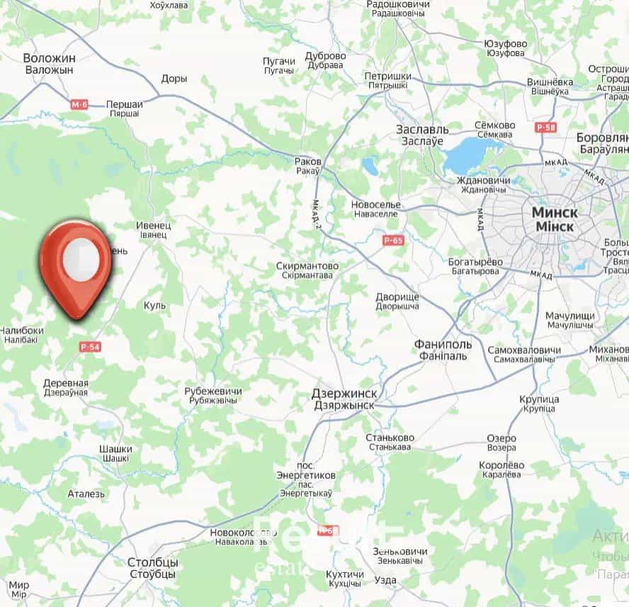 Беларусь, Минская область, Столбцовский район, Налибокский сельсовет, деревня Рудня Пильнянская, Центральная улица, 54, фото 2