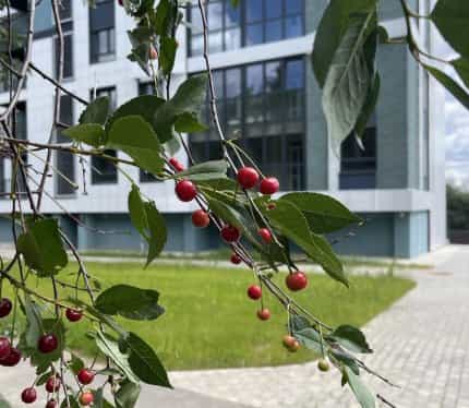 Беларусь, Минск, улица Глаголева, 31, фото 4