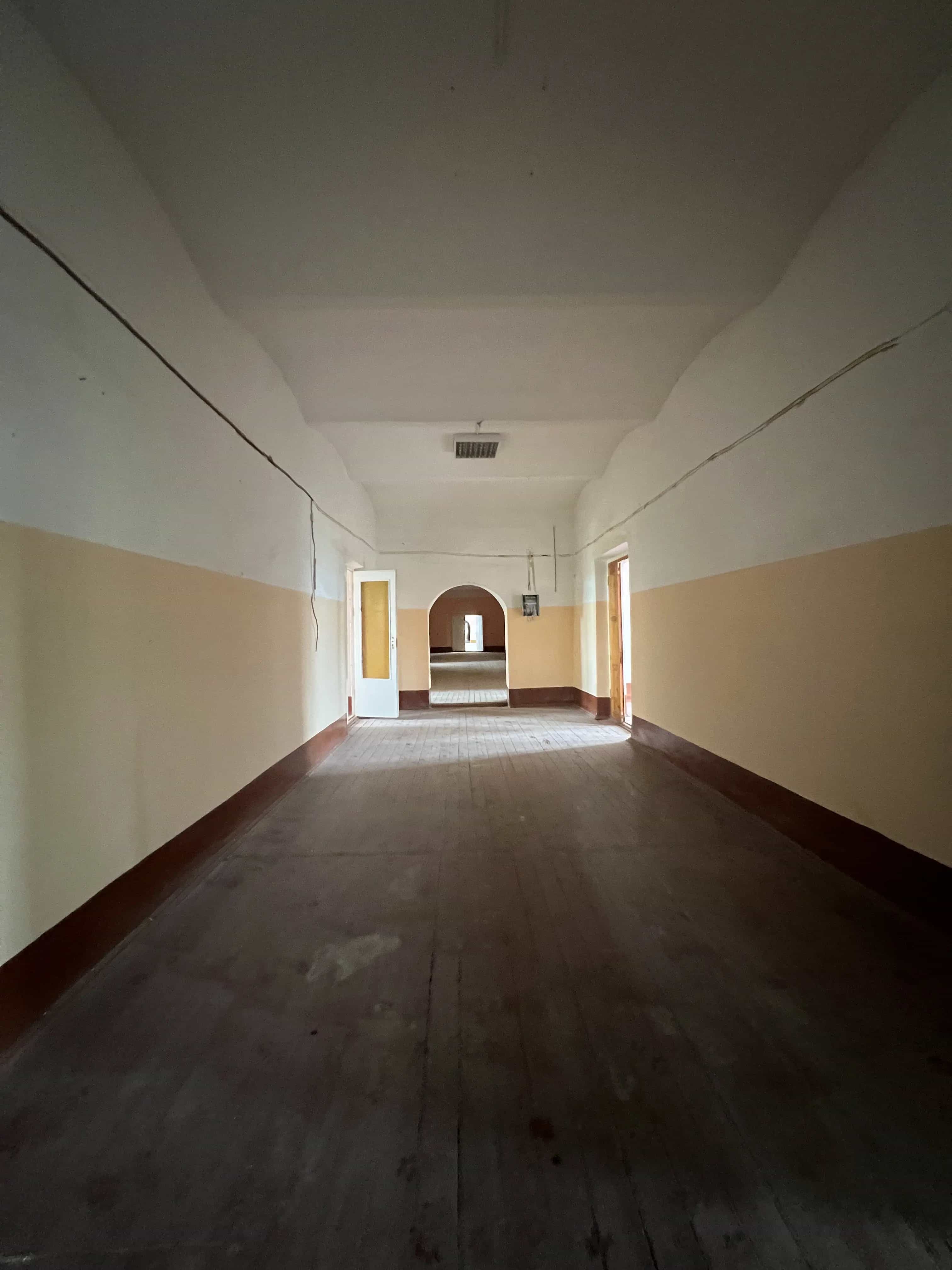 Беларусь, Могилёвская область, Осиповичский район, агрогородок Лапичи, Армейская улица, 1А, фото 12