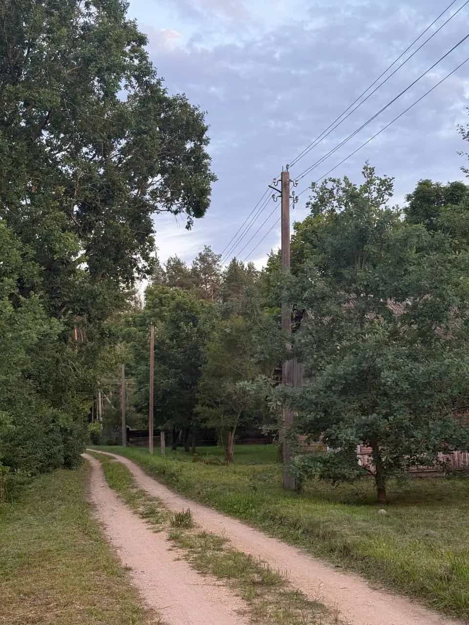 Беларусь, Гродненская область, Свислочский район, Добровольский сельсовет, деревня Жарковщина, 14, фото 5
