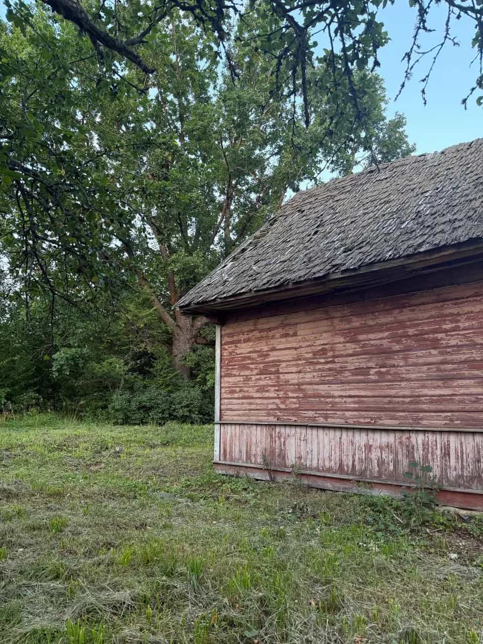 Беларусь, Гродненская область, Свислочский район, Добровольский сельсовет, деревня Жарковщина, 14, фото 13
