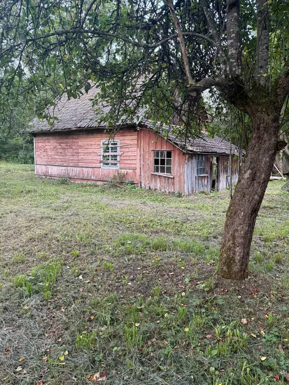Беларусь, Гродненская область, Свислочский район, Добровольский сельсовет, деревня Жарковщина, 14, фото 18