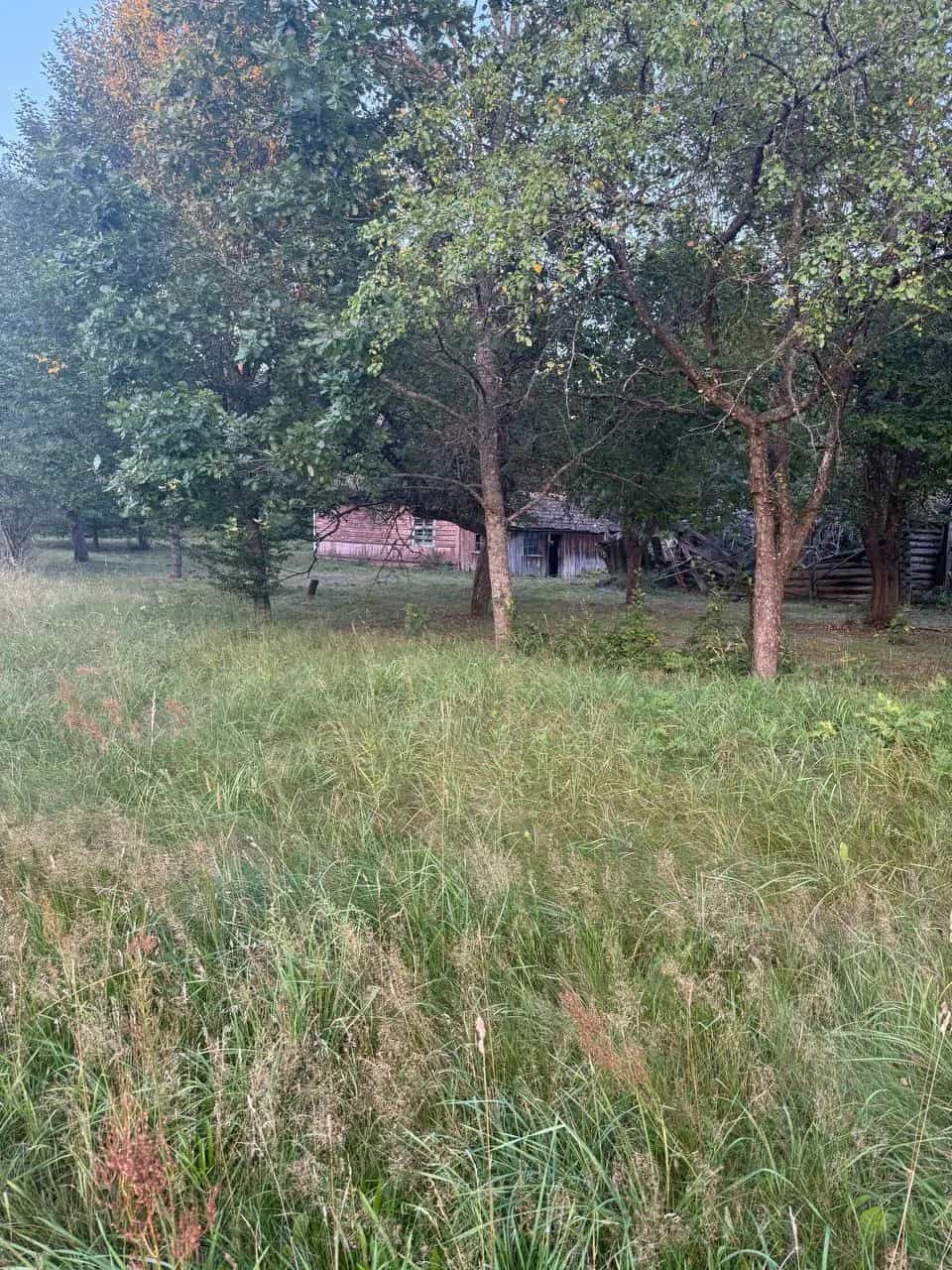 Беларусь, Гродненская область, Свислочский район, Добровольский сельсовет, деревня Жарковщина, 14, фото 19