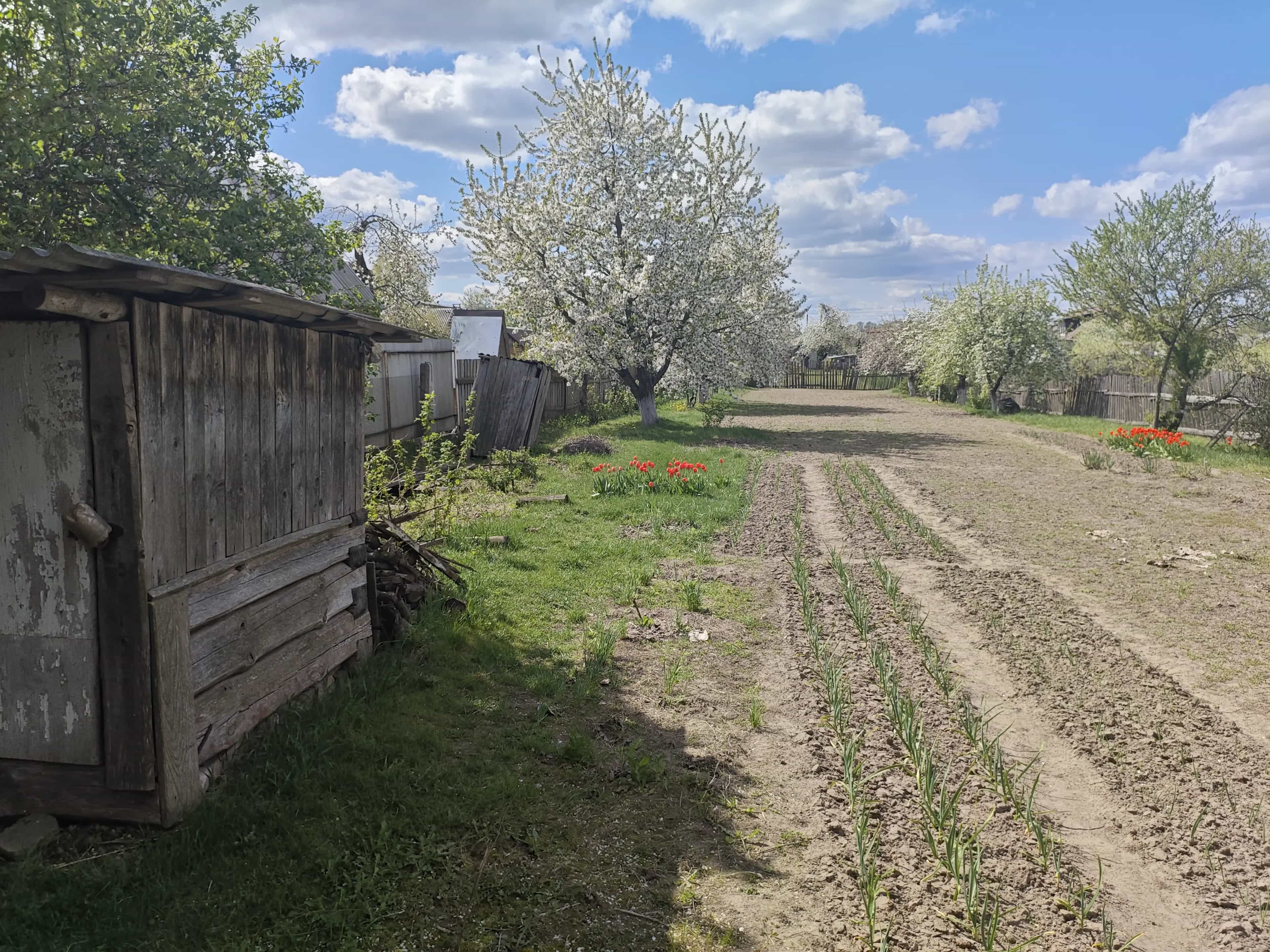 Беларусь, Могилёвская область, Быхов, Пролетарская улица, 135, фото 3