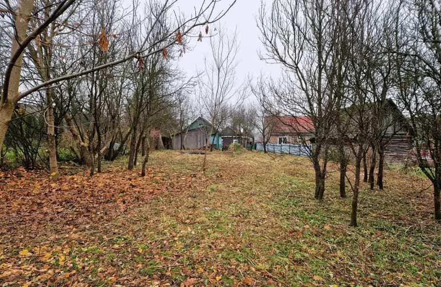Беларусь, Гродненская область, Щучинский район, городской посёлок Острино, Первомайская улица, 25, фото 5
