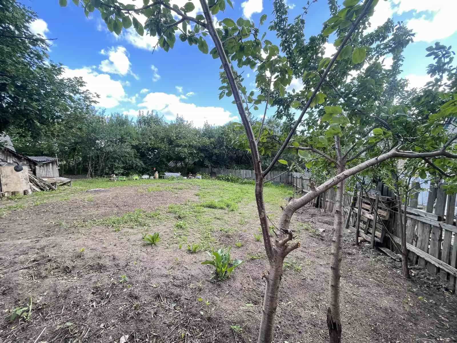Беларусь, Минский район, агрогородок Колодищи, Школьная улица, 14А, фото 7