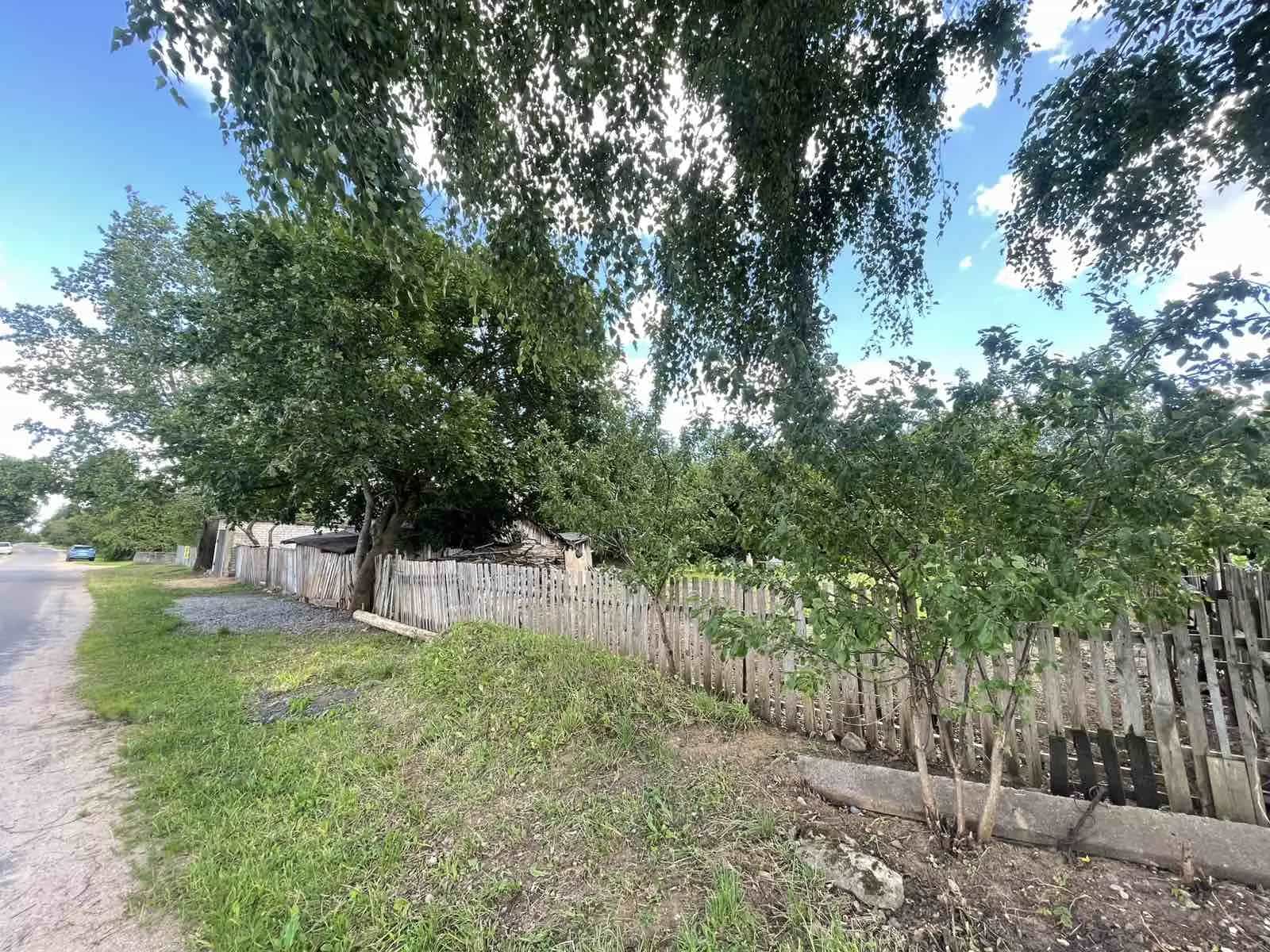 Беларусь, Минский район, агрогородок Колодищи, Школьная улица, 14А, фото 12