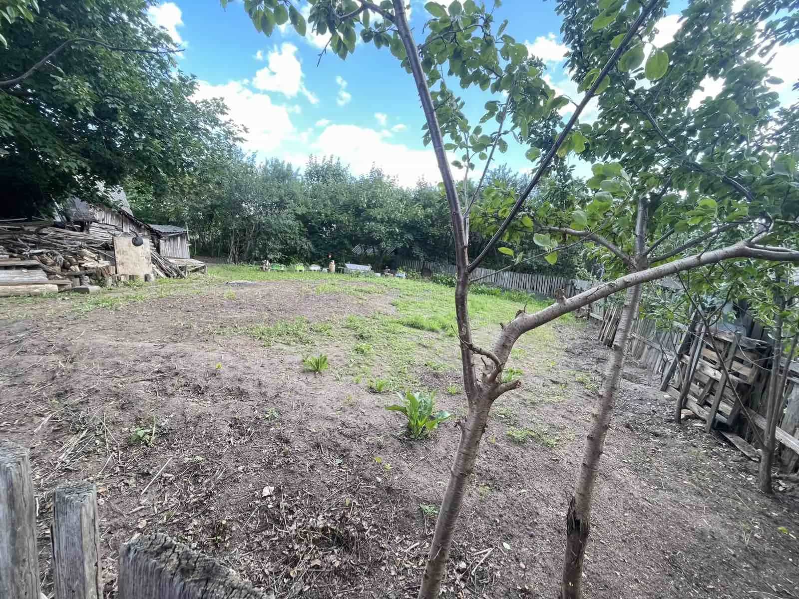 Беларусь, Минский район, агрогородок Колодищи, Школьная улица, 14А, фото 13