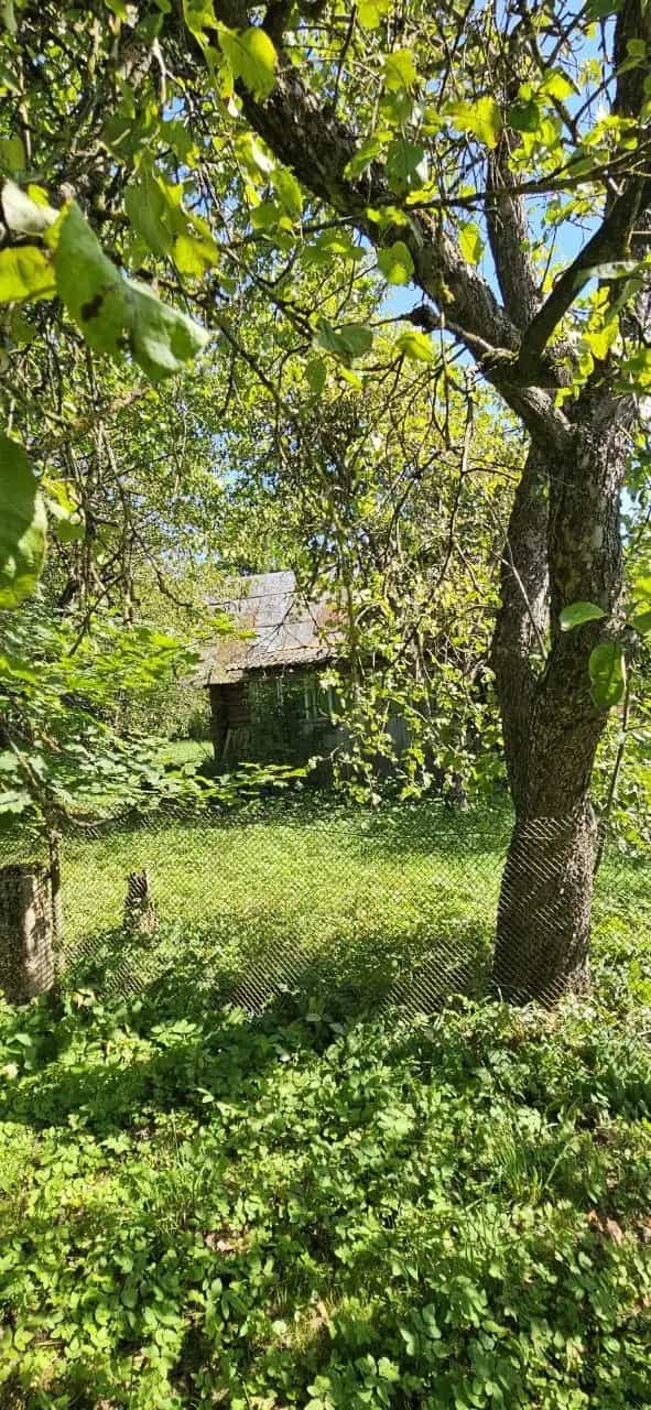 Беларусь, Минский район, Крупицкий сельсовет, деревня Вербники, 18, фото 6
