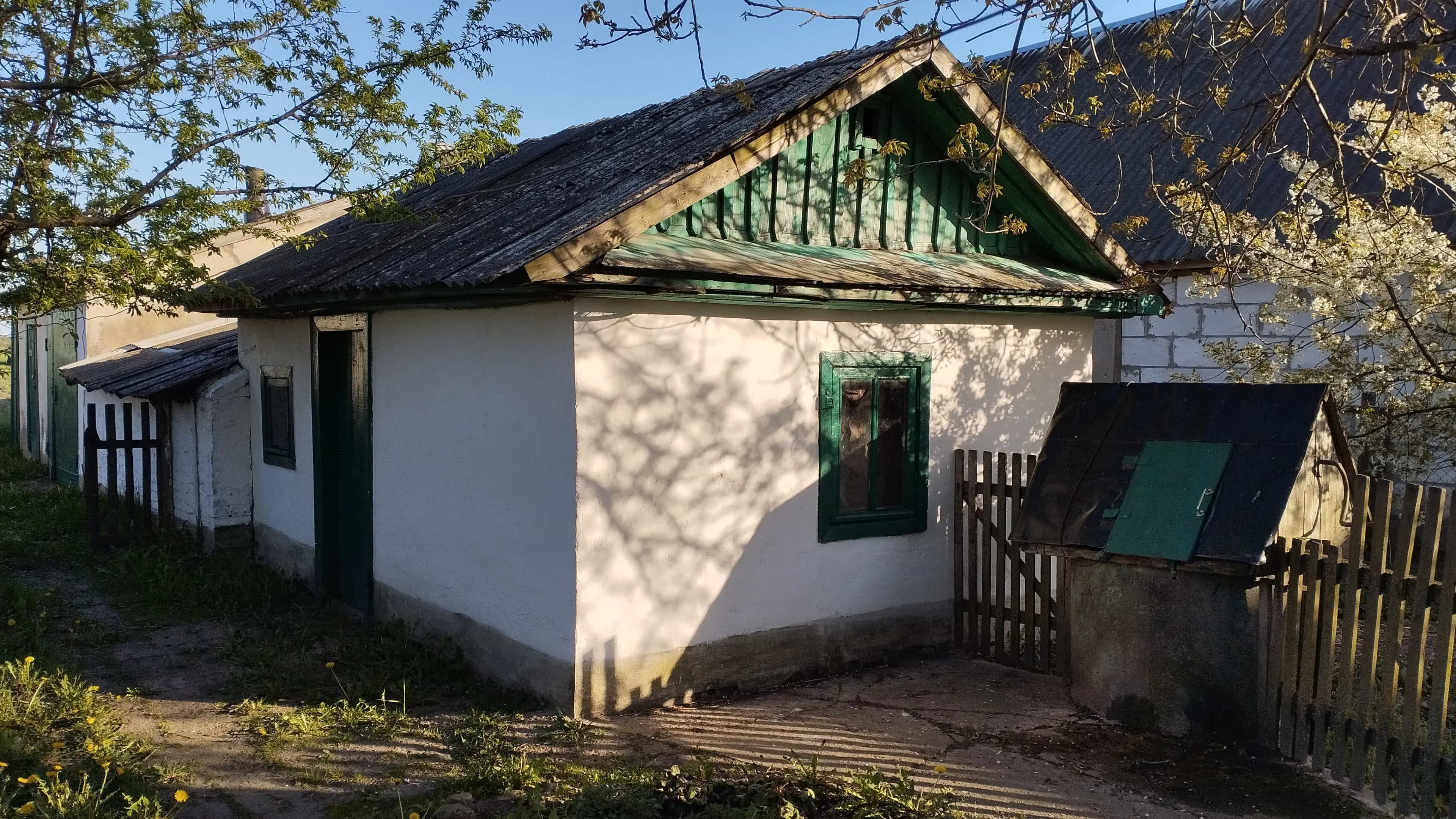 Беларусь, Брестская область, Дрогичинский район, Попинский сельсовет, агрогородок Новая Попина, Комсомольская улица, 71, фото 15