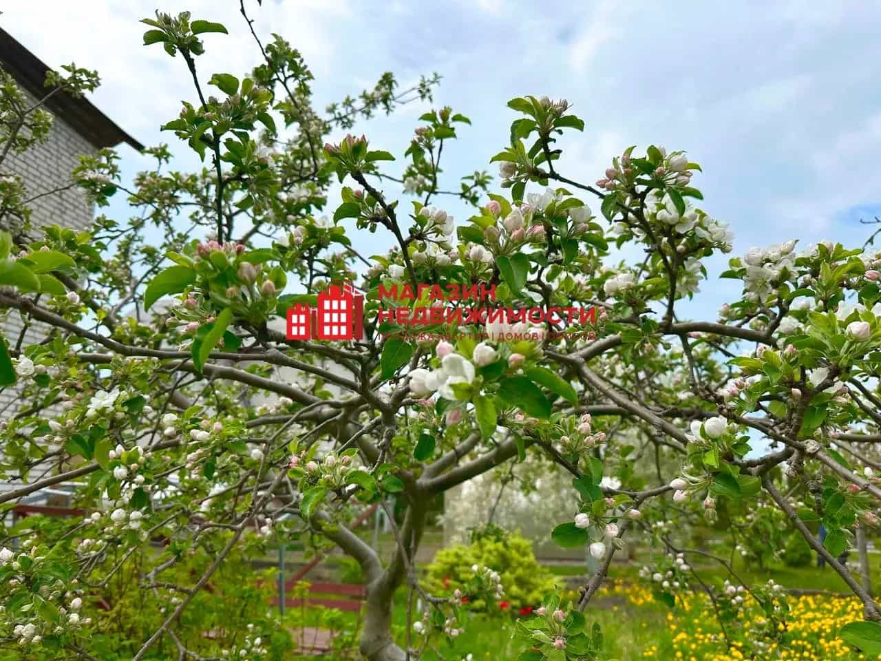 Беларусь, Гродно, улица Горы, 17, фото 29