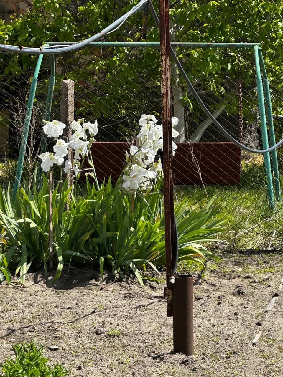 Беларусь, Гомельская область, Жлобин, Рабочая улица, 58, фото 7