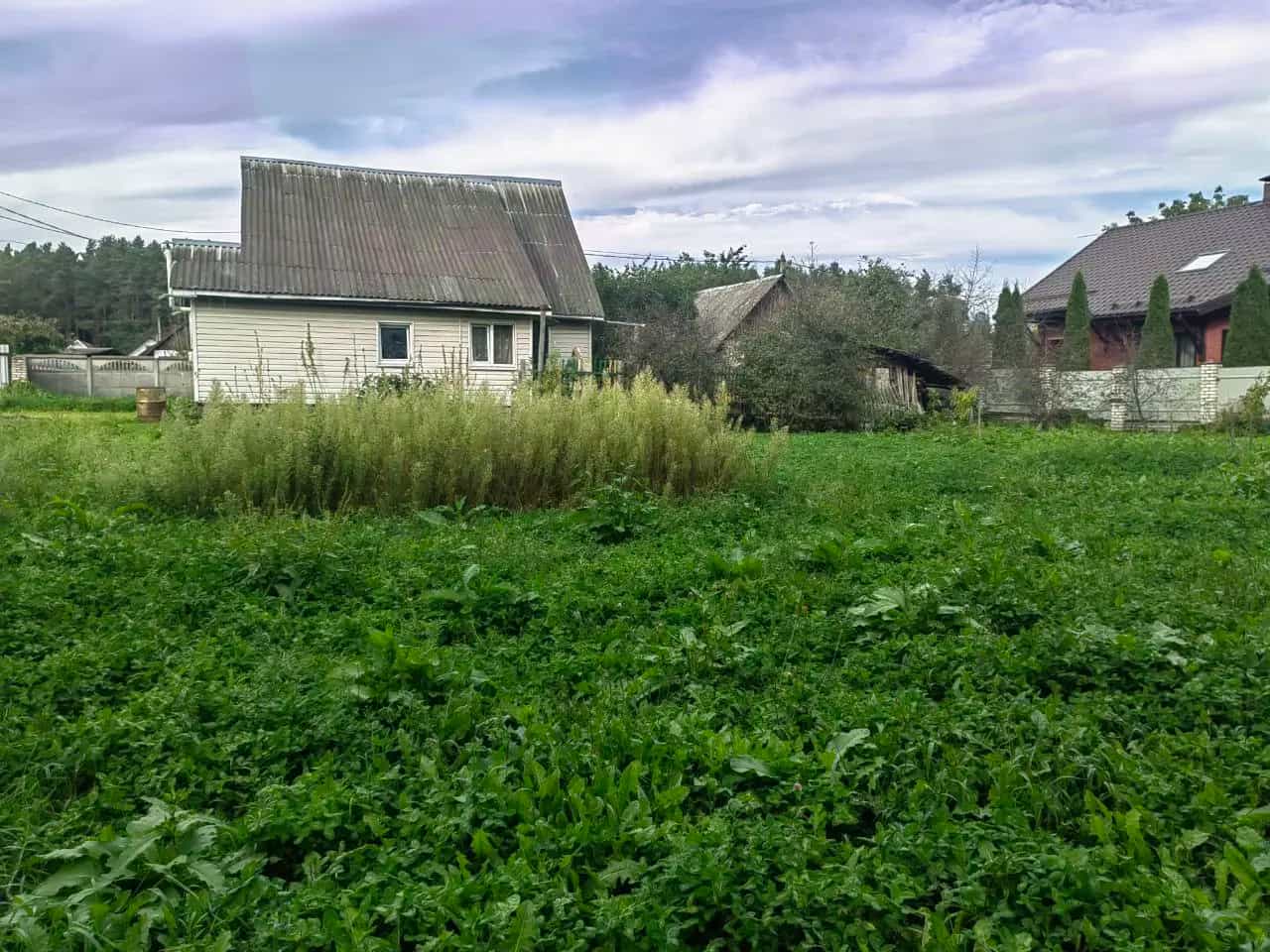 Беларусь, Могилёв, улица Надточеева, 14, фото 3