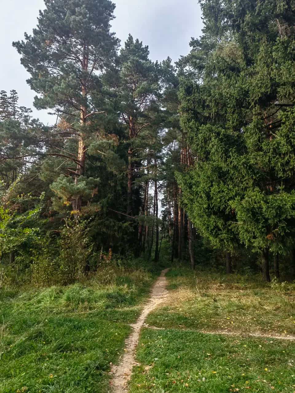 Беларусь, Могилёв, улица Надточеева, 14, фото 4