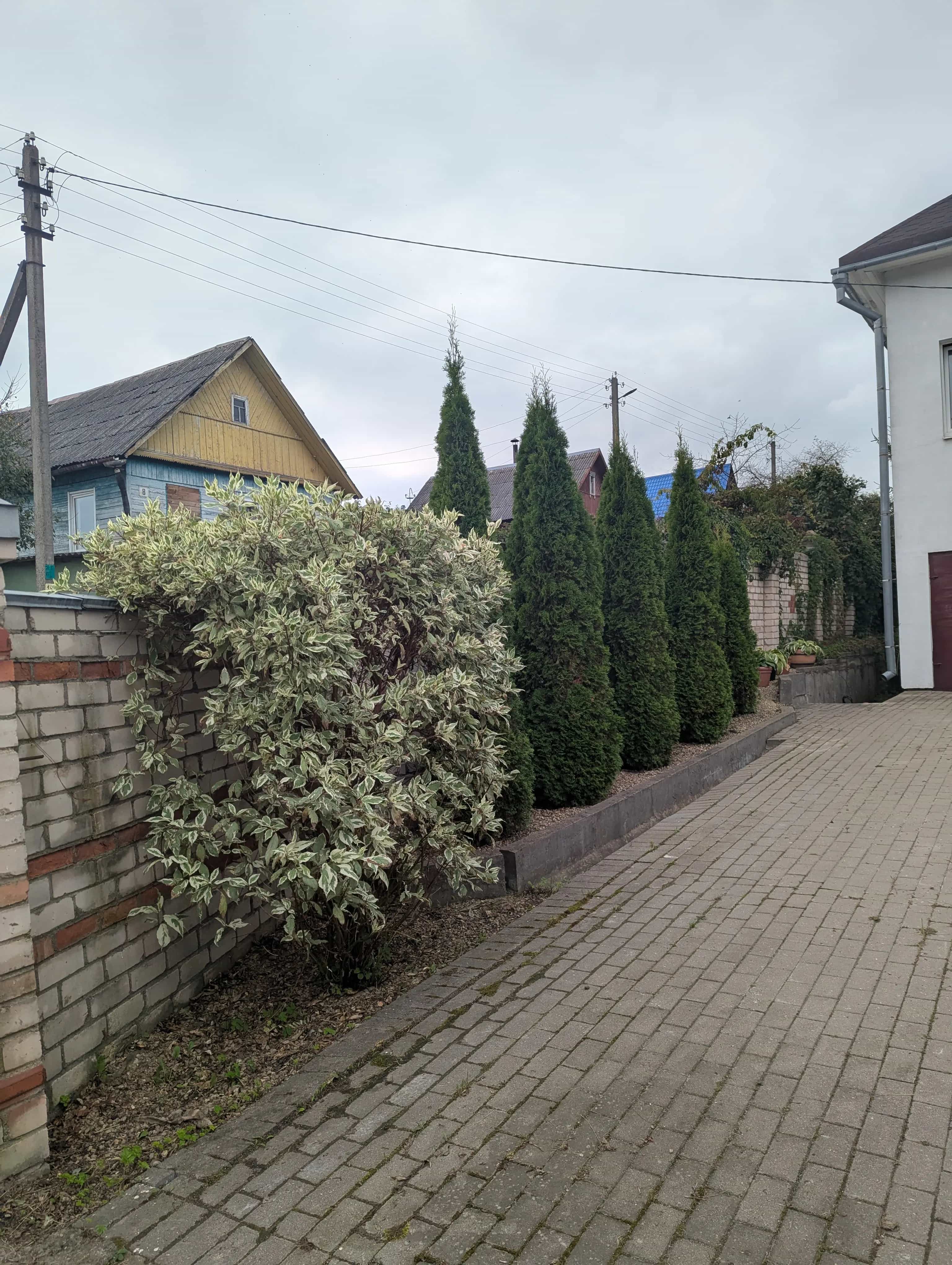 Беларусь, Витебск, улица Шаврова, 56, фото 3