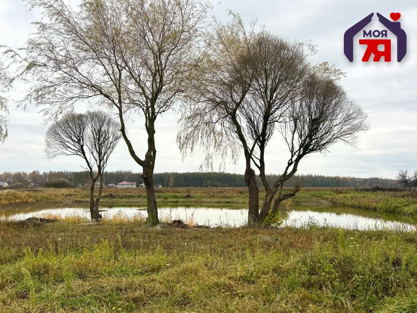 Беларусь, Минская область, Солигорский район, Старобинский сельсовет, деревня Поварчицы, Советская улица, 58, фото 9