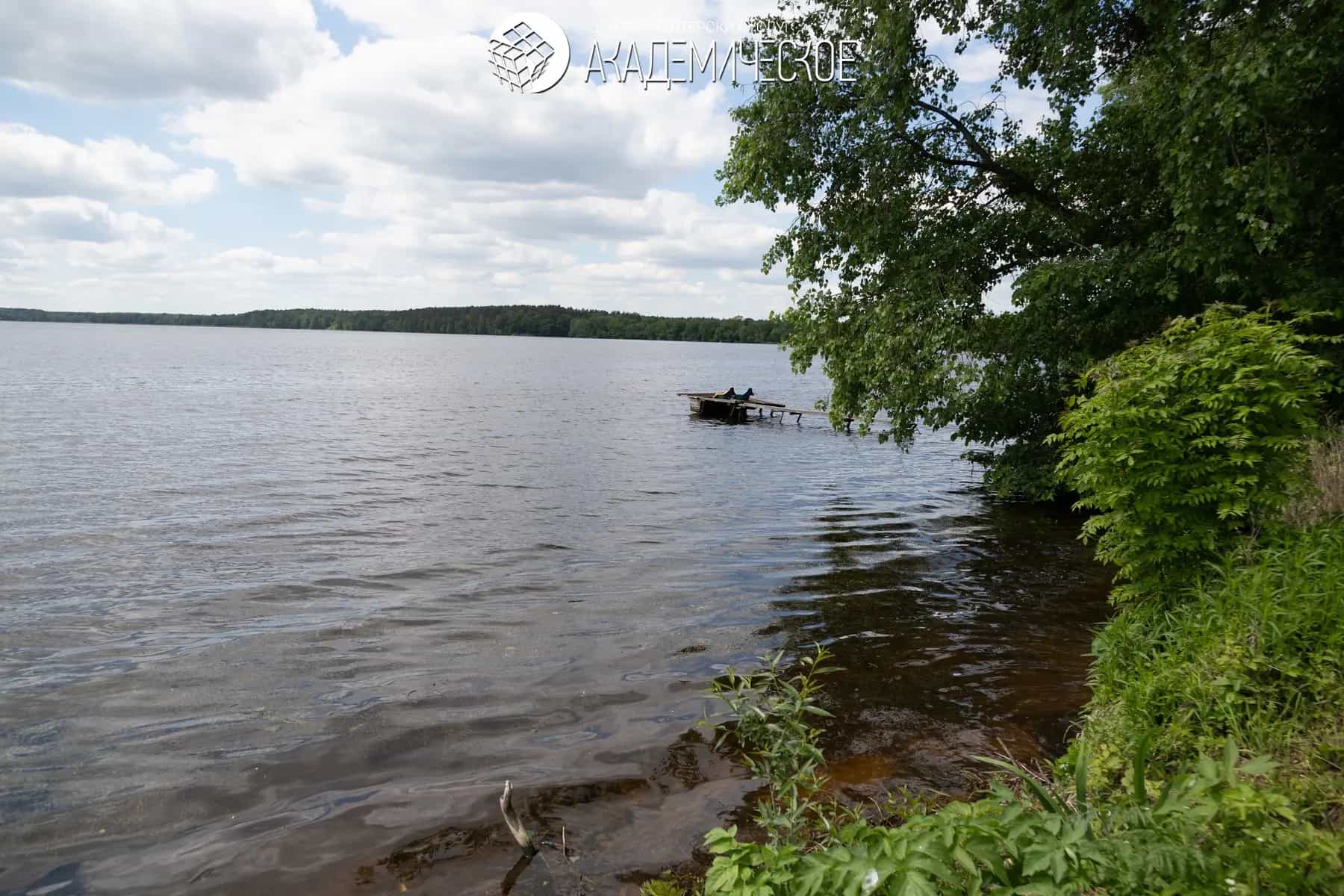 Беларусь, Могилёвская область, Осиповичский район, агрогородок Вязье, Садовая улица, 9, фото 8