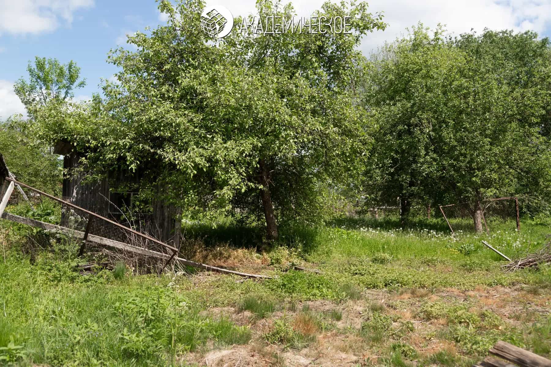 Беларусь, Могилёвская область, Осиповичский район, агрогородок Вязье, Садовая улица, 9, фото 20