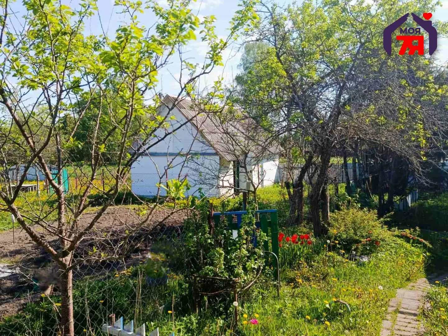 Беларусь, Минская область, Вилейский район, Куренецкий сельсовет, деревня Литвинки, Центральная улица, 14, фото 6