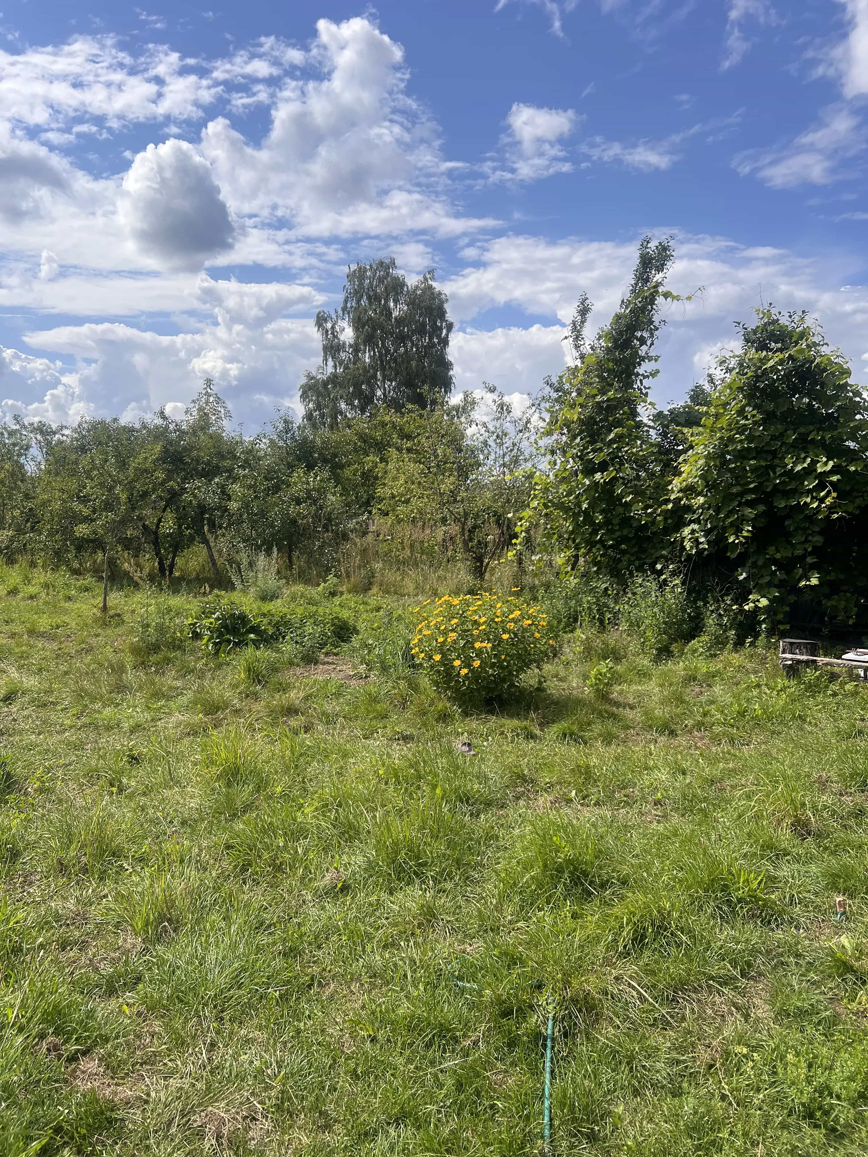 Беларусь, Гродненская область, Лидский район, Берёзовка, Садовый переулок, 10, фото 4