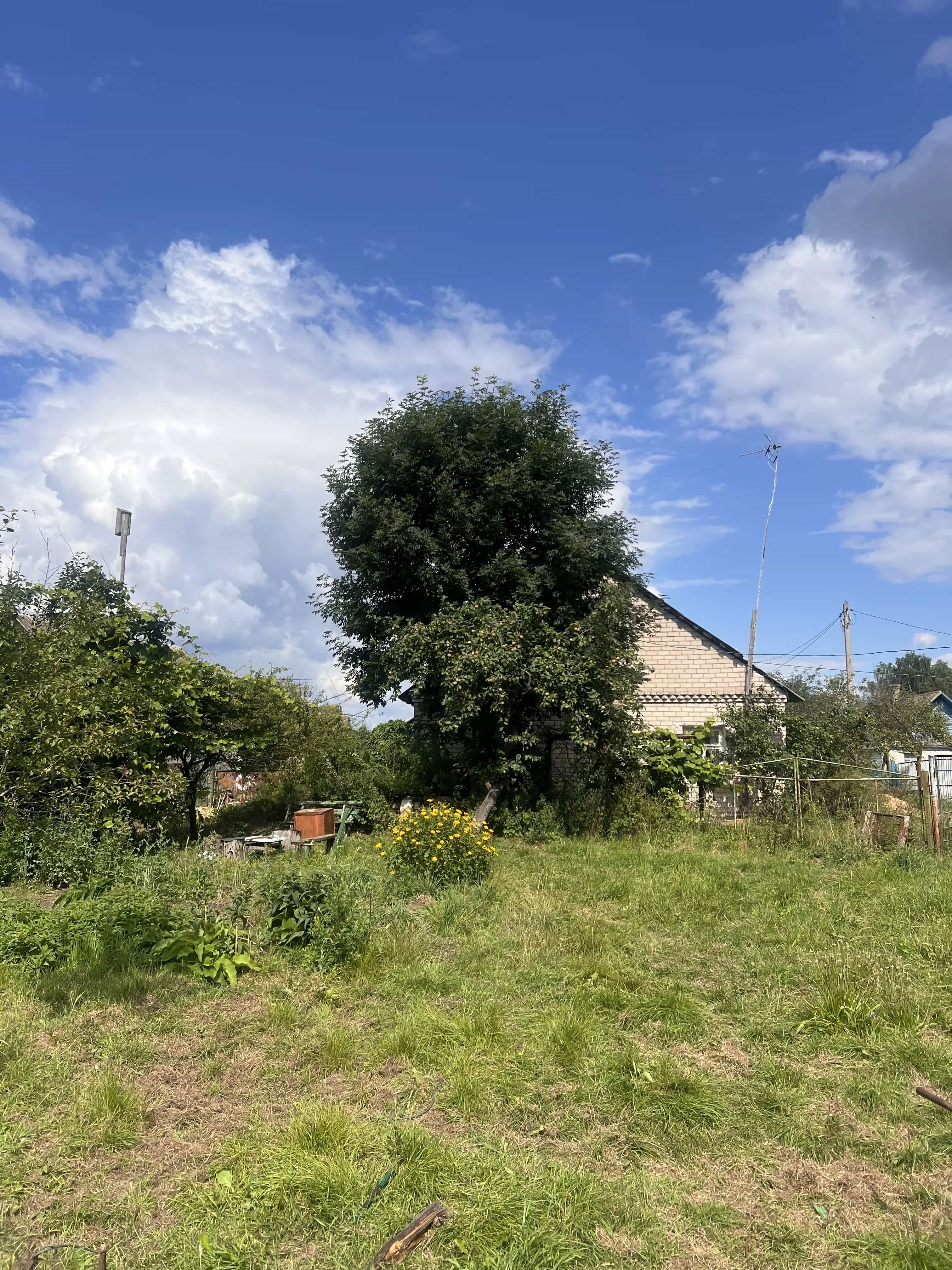 Беларусь, Гродненская область, Лидский район, Берёзовка, Садовый переулок, 10, фото 19