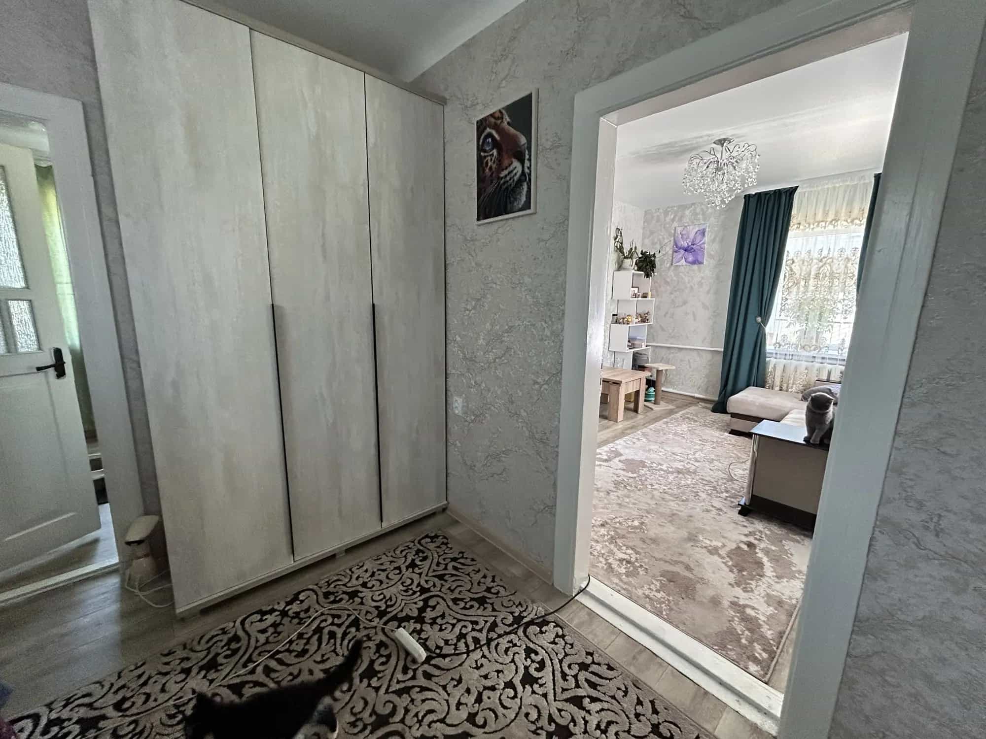 Беларусь, Брестская область, Кобрин, улица Чкалова, 86, фото 17