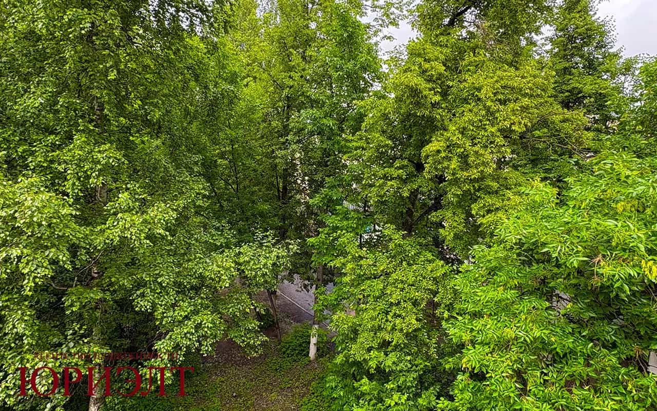 Беларусь, Витебск, Локомотивная улица, 16А, фото 21