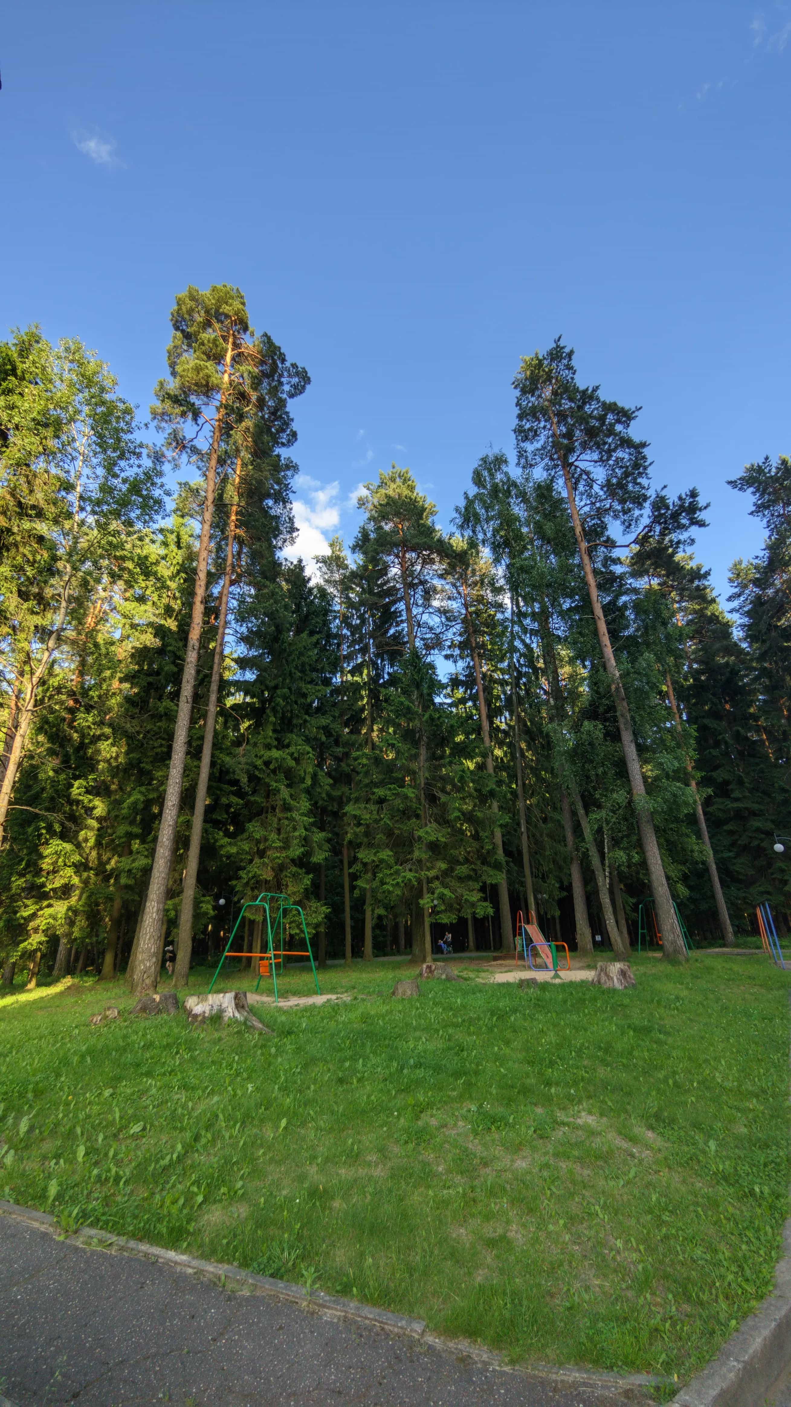 Беларусь, Витебская область, Новополоцк, Олимпийская улица, 8, фото 21