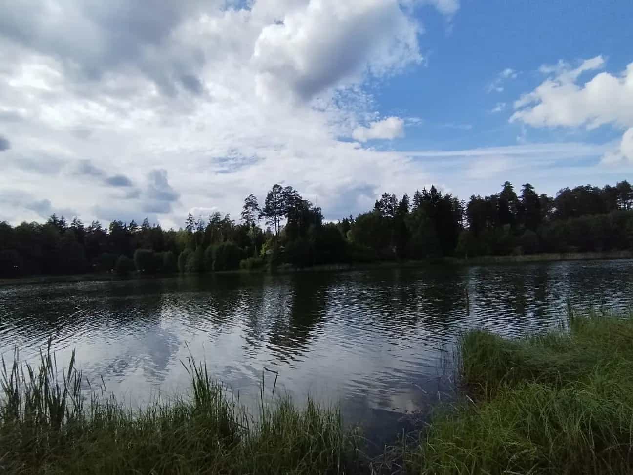 Беларусь, Брестская область, Барановичский район, Леснянский сельсовет, деревня Павлиново, Подлесная улица, 4А, фото 20
